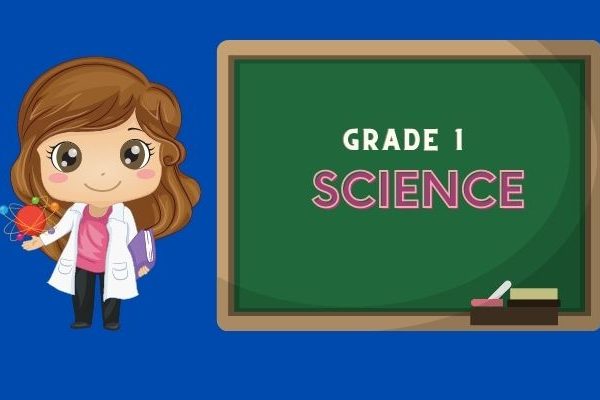 Practical Science-Grade1